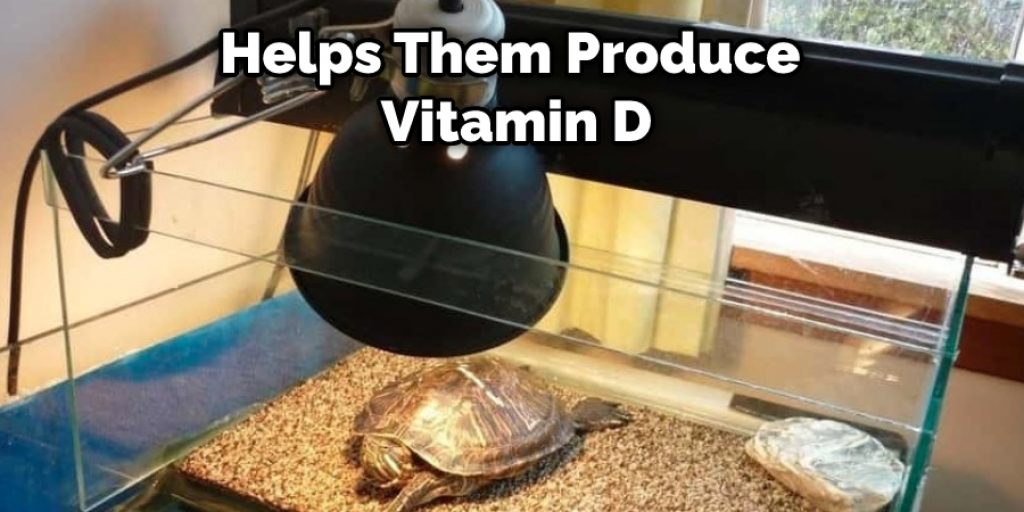 Helps Them Produce Vitamin D