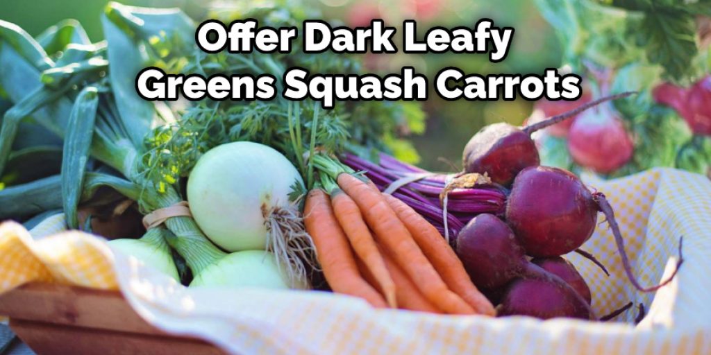 Offer Dark Leafy Greens Squash Carrots