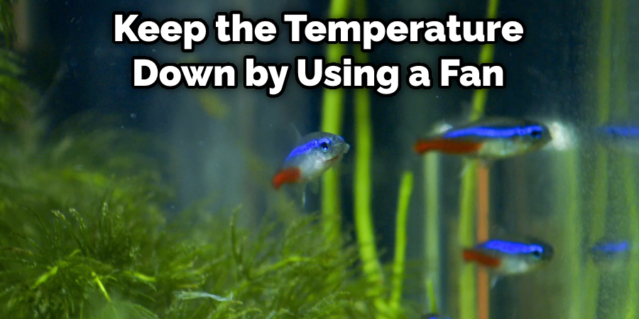 Keep the Temperature Down by Using a Fan