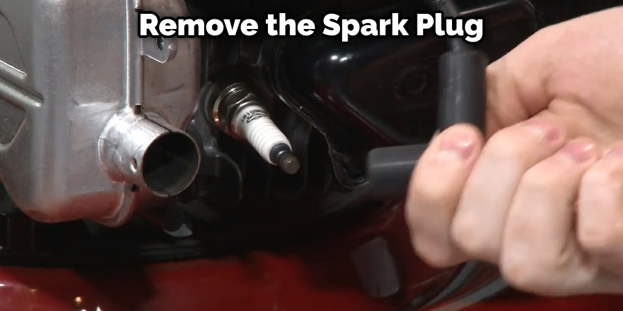 Remove the Spark Plug