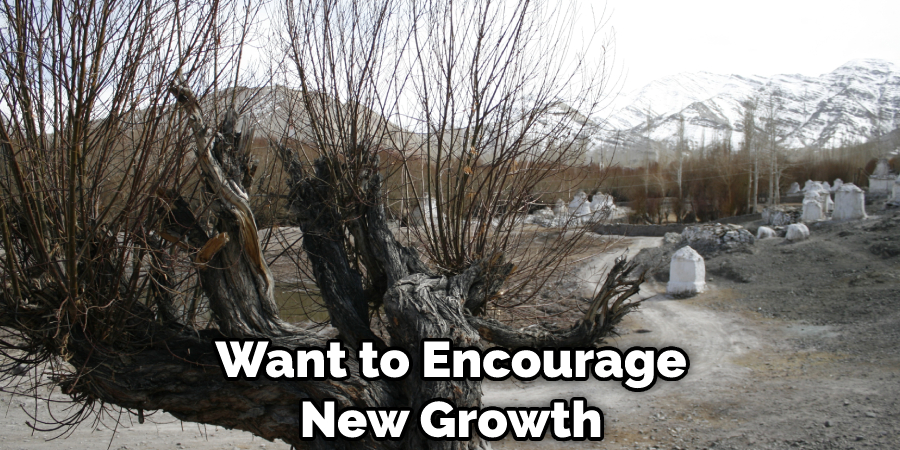 Want to Encourage New Growth