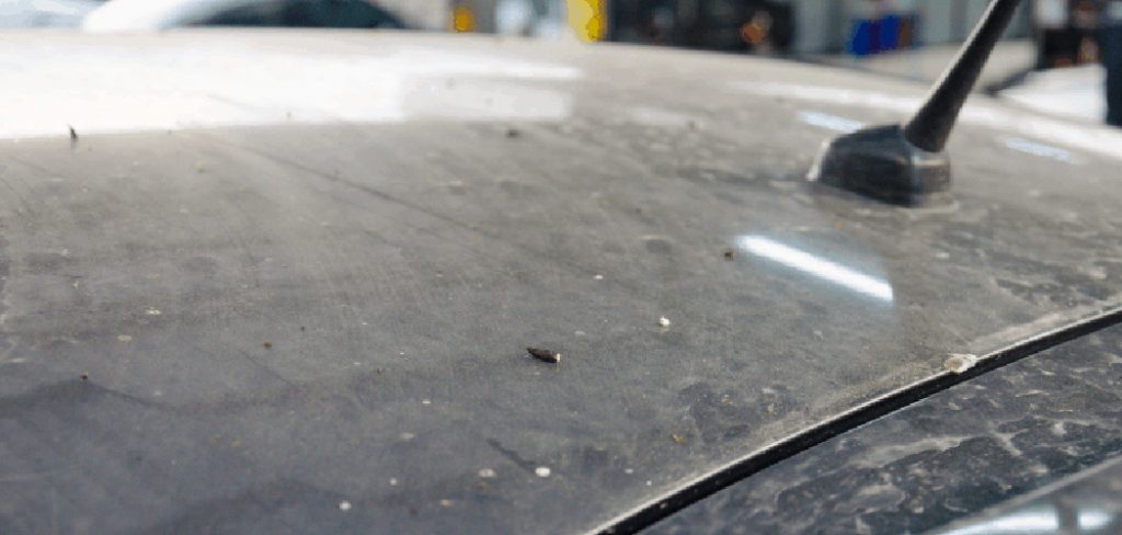 how to fix clear coat wrinkled