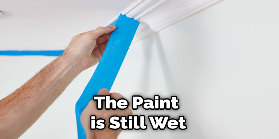The Paint  is Still Wet