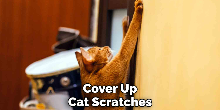 Cover Up Cat Scratches
