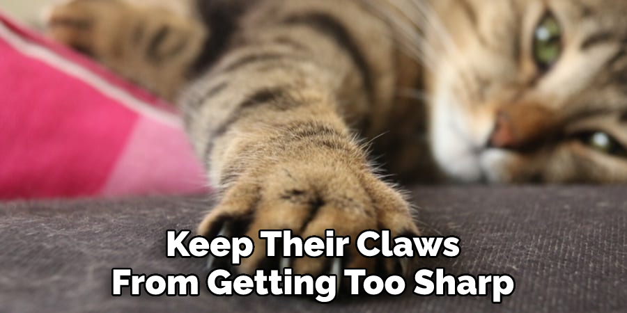 Keep Their Claws From Getting Too Sharp