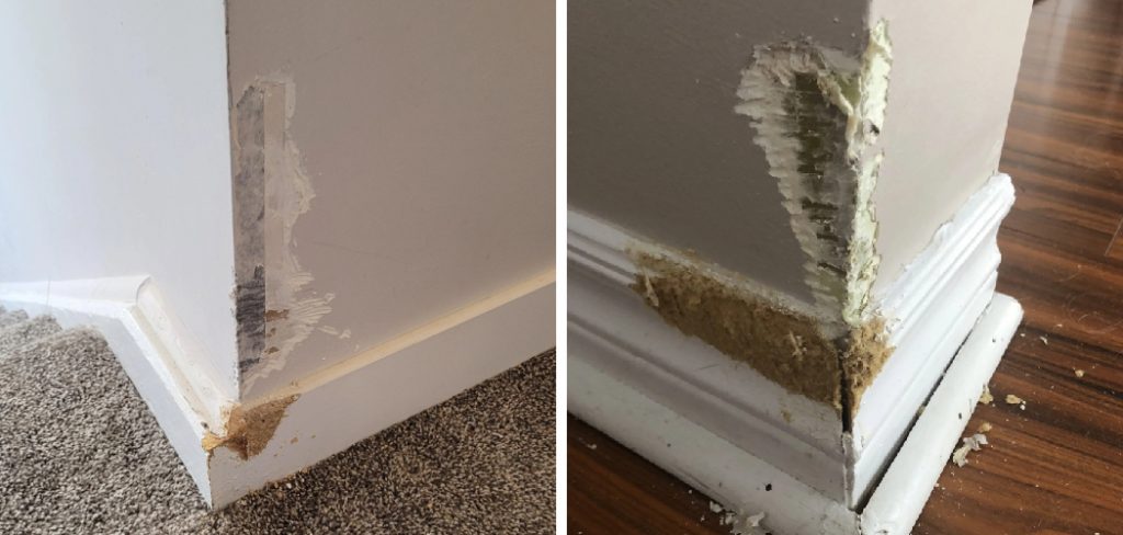 How to Fix Dog Bites on Wall