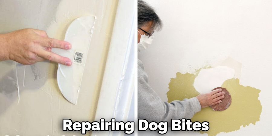 Repairing Dog Bites