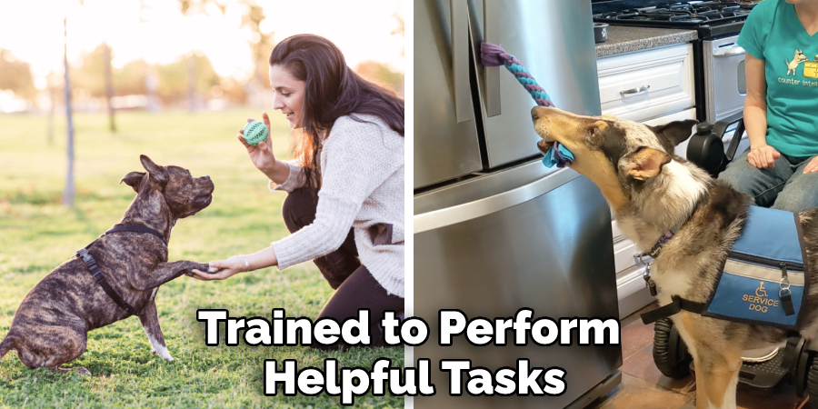 Trained to Perform Helpful Tasks
