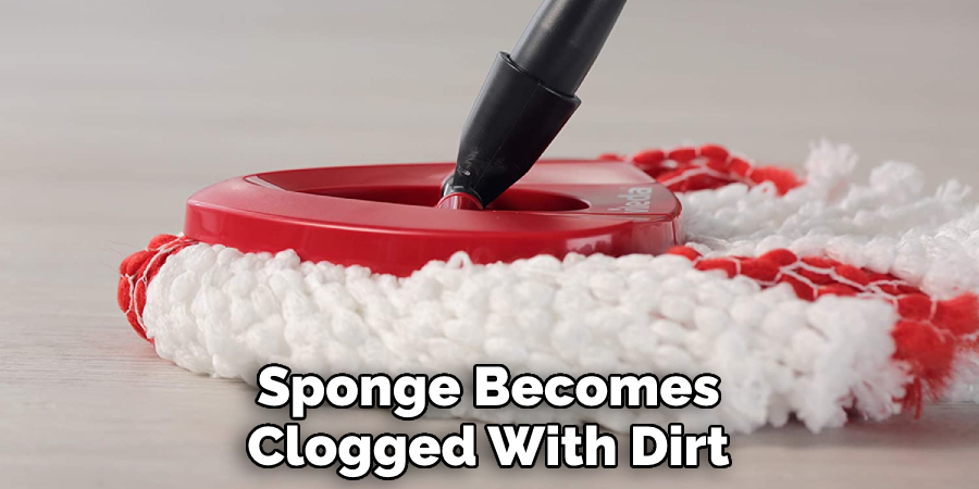 Sponge Becomes Clogged With Dirt