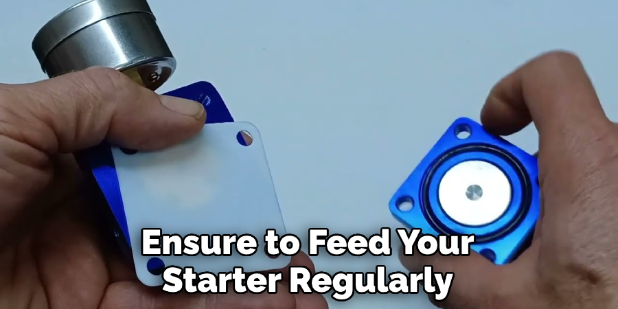 Ensure to Feed Your Starter Regularly
