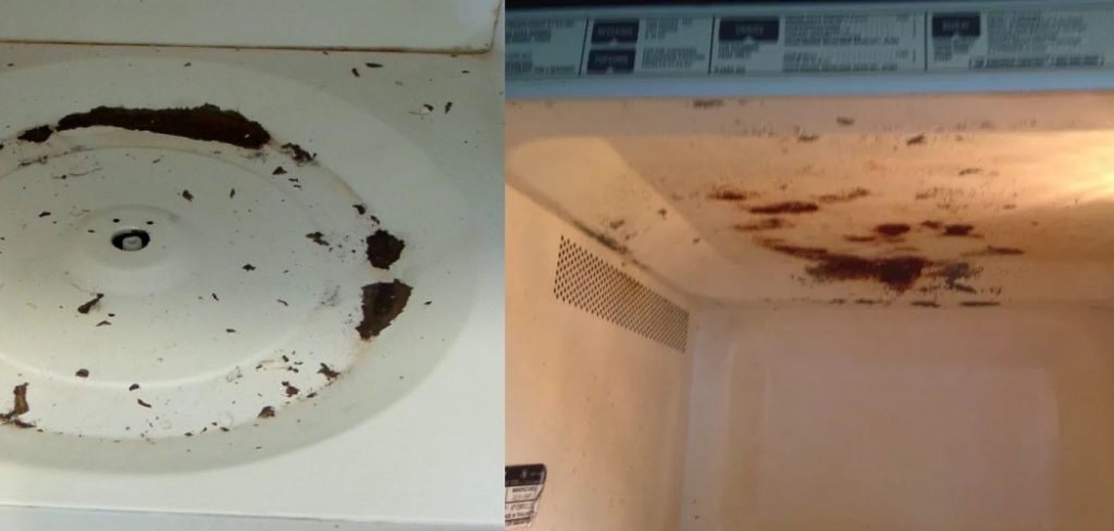 How to Fix Rust Inside Microwave