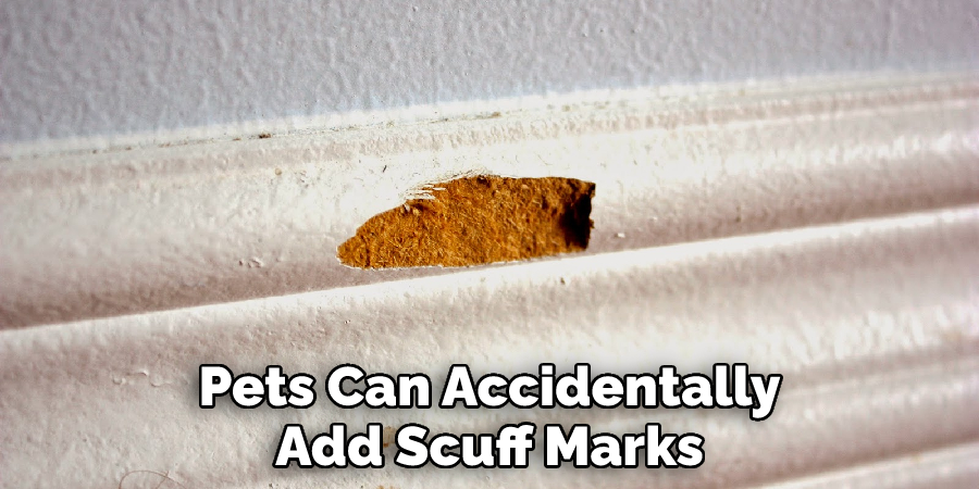 Pets Can Accidentally Add Scuff Marks
