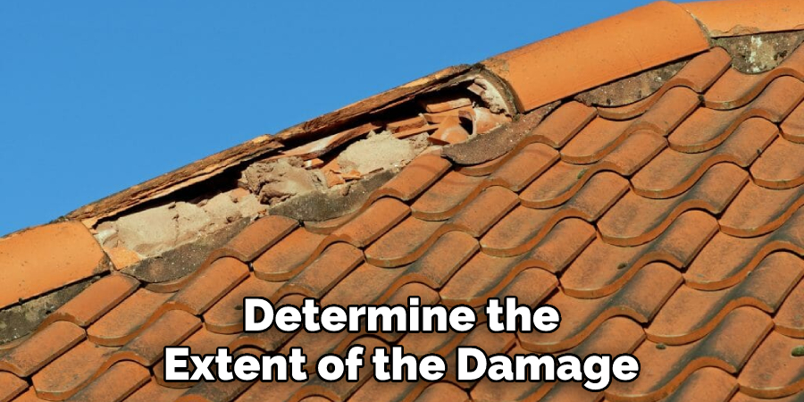 Determine the Extent of the Damage