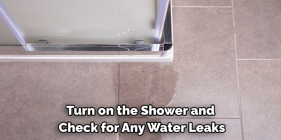 Turn on the Shower and Check for Any Water Leaks