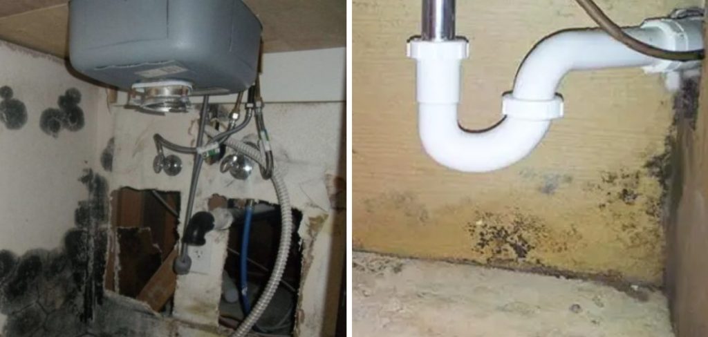 How to Fix Mold Under Sink