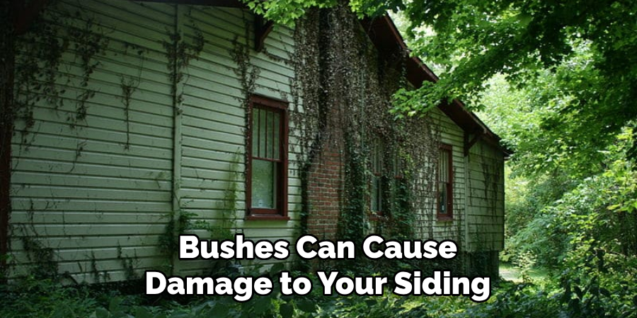 Bushes Can Cause Damage to Your Siding
