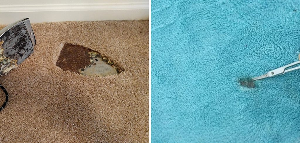 How to Fix Burnt Carpet From Coal