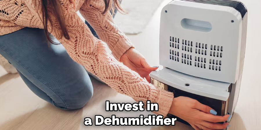 Invest in a Dehumidifier