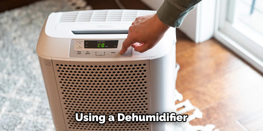 Using a Dehumidifier