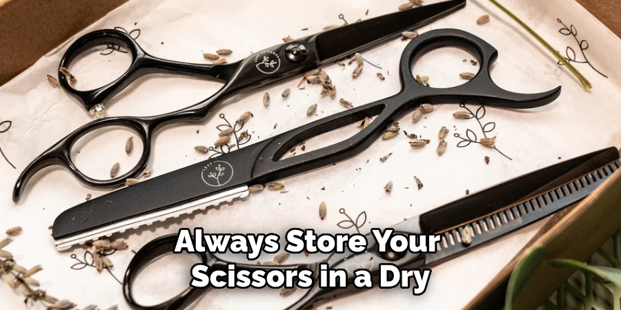 Always Store Your Scissors in a Dry