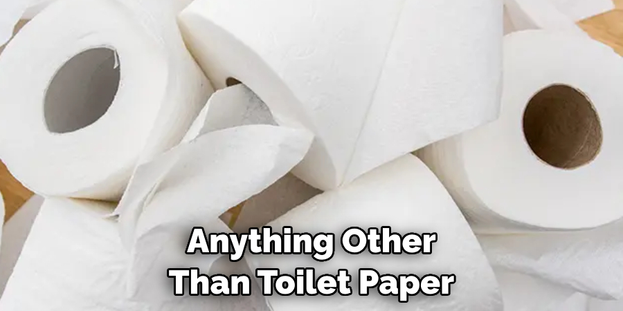 Anything Other Than Toilet Paper