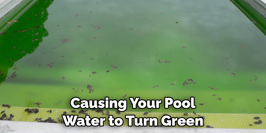 Causing Your Pool Water to Turn Green