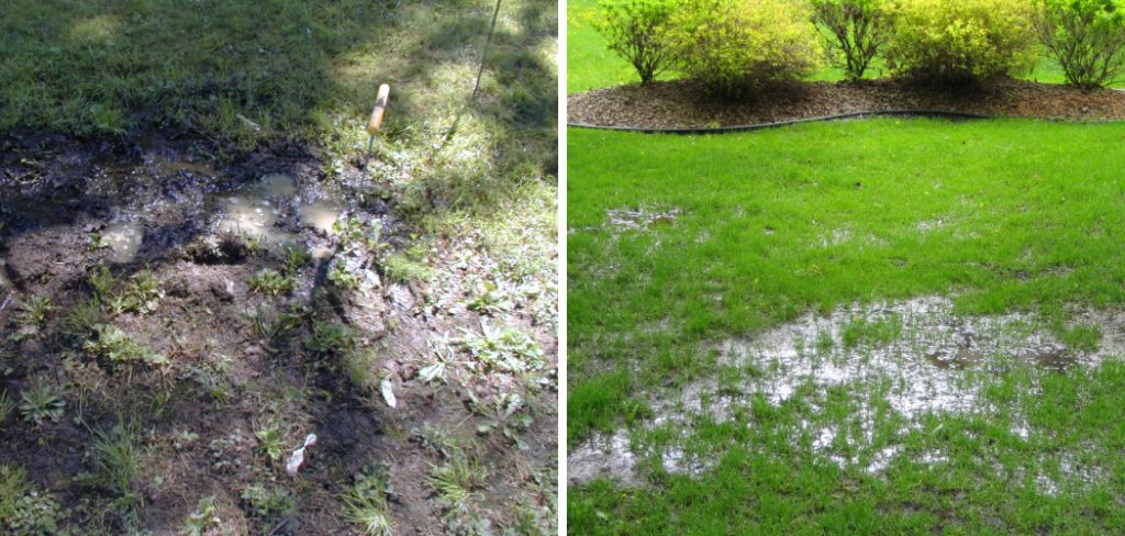 How to Fix Leach Field Problems