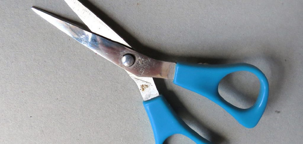 How to Fix Loose Scissors