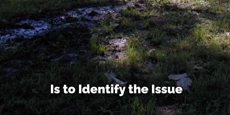  Is to Identify the Issue