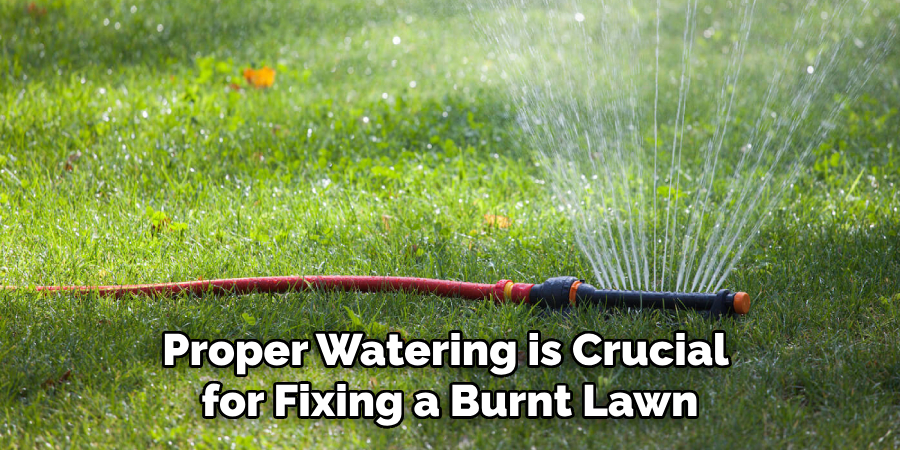 Proper Watering is Crucial for Fixing a Burnt Lawn