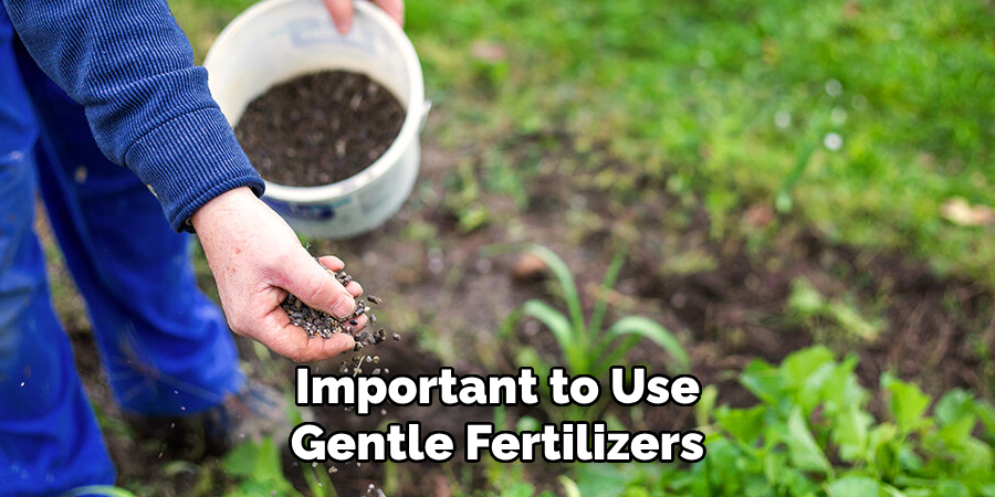  Important to Use Gentle Fertilizers