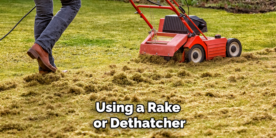 Using a Rake or Dethatcher