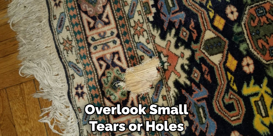 Overlook Small Tears or Holes