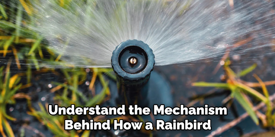 Understand the Mechanism Behind How a Rainbird