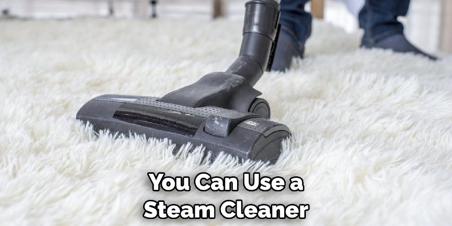 You Can Use a Steam Cleaner