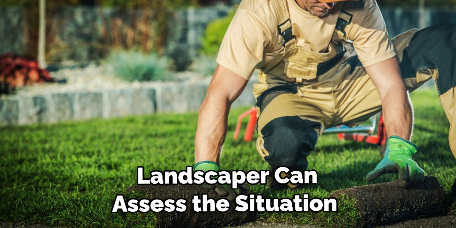 Landscaper Can Assess the Situation 