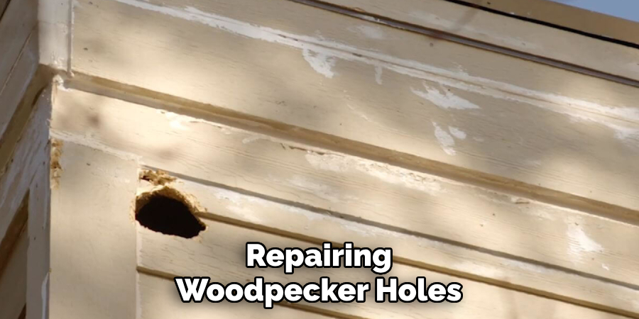 Repairing Woodpecker Holes