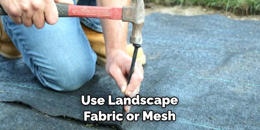Use Landscape Fabric or Mesh 