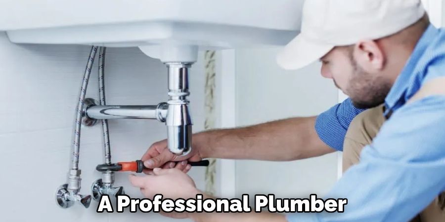 A Professional Plumber 