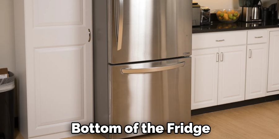 Bottom of the Fridge