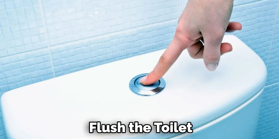 Flush the Toilet
