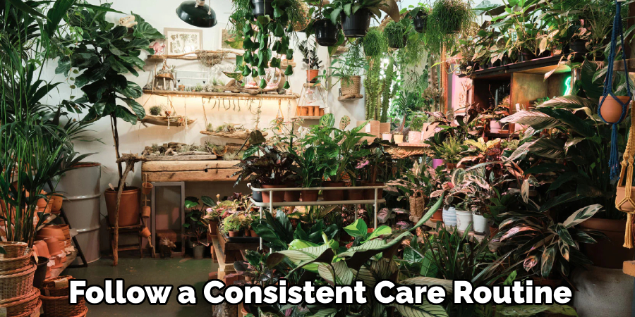 Follow a Consistent Care Routine