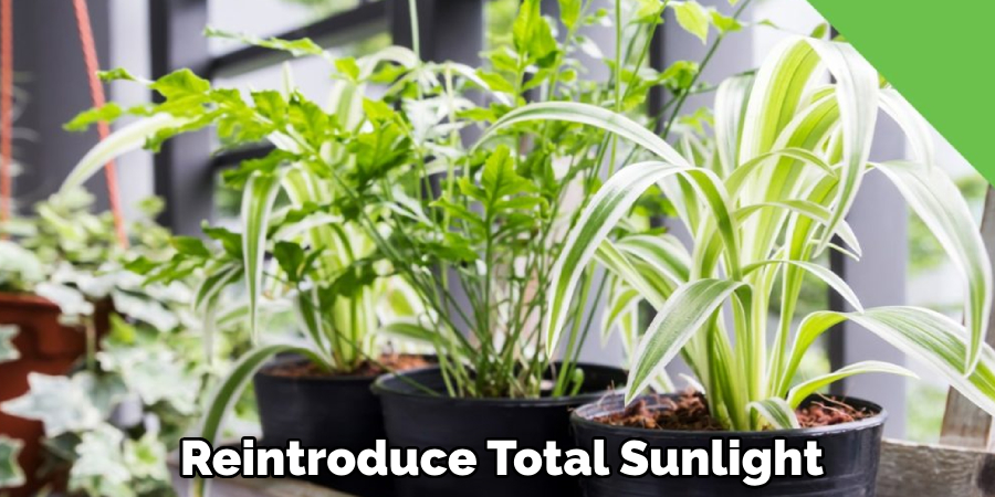 Reintroduce Total Sunlight