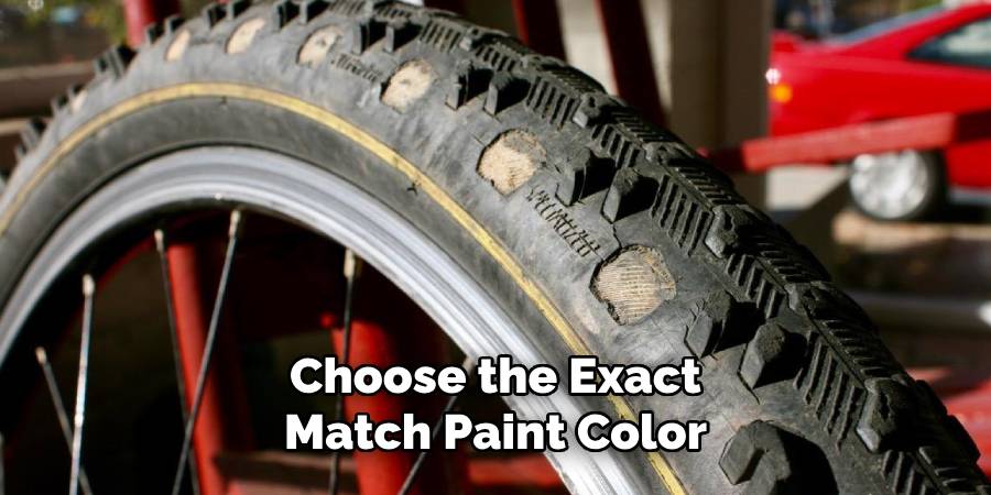 Choose the Exact Match Paint Color