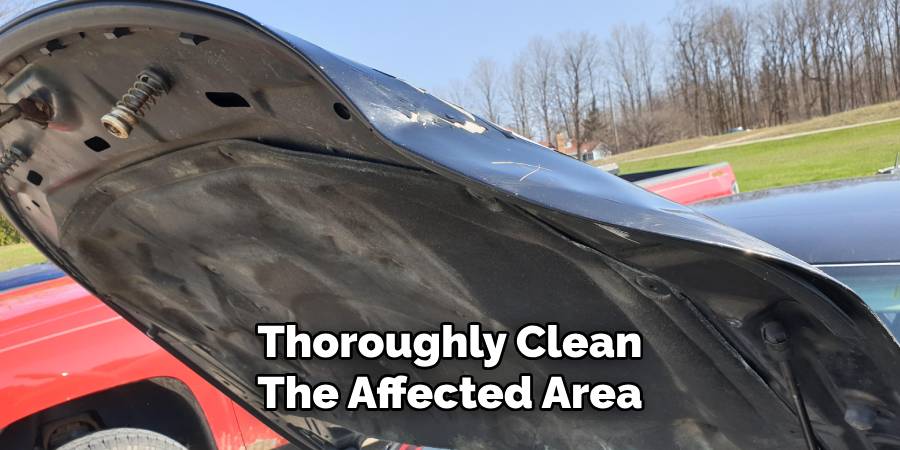 Thoroughly Clean the Affected Area