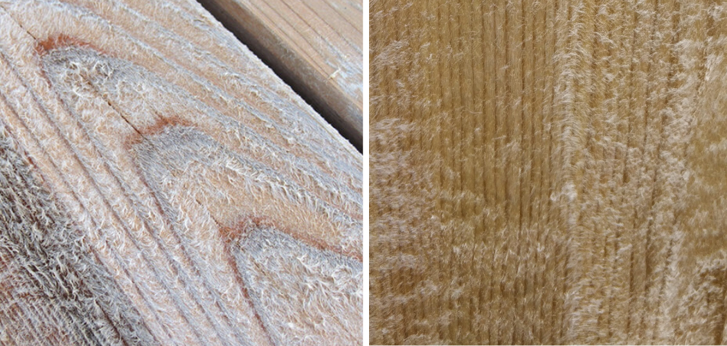 how-to-fix-fuzzy-wood-described-in-7-steps-2024