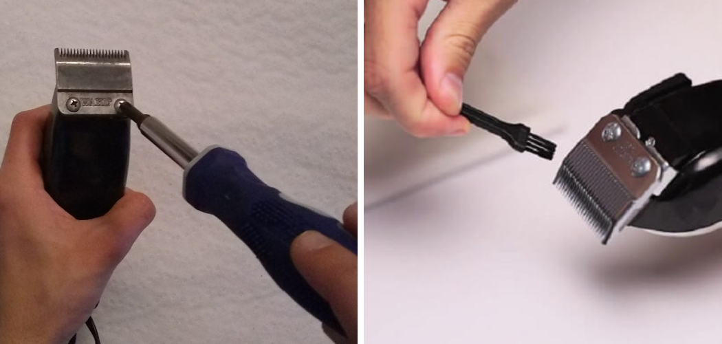 How to Fix Wahl Clippers Loud Noise in 8 Easy Steps (2024)