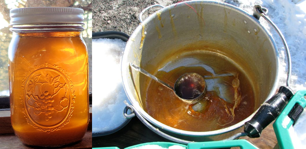 How to Fix Crystallized Maple Syrup Detailed Guide (2022)