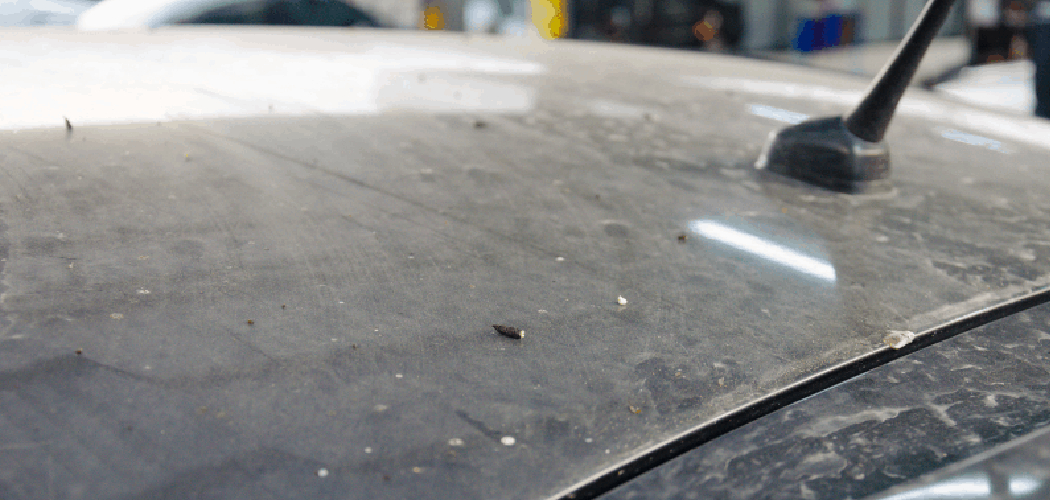 How to Fix Clear Coat Wrinkled 10 Effective Methods (2024)