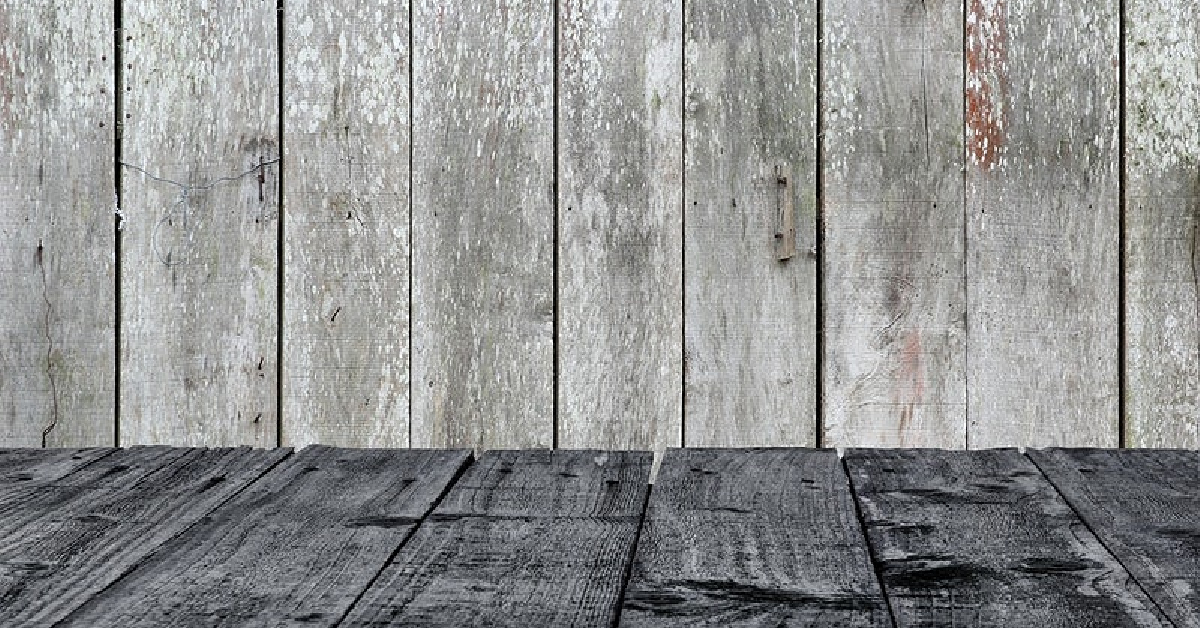 How to Fix Wood Paneling Walls Easy 11 Steps (2024)